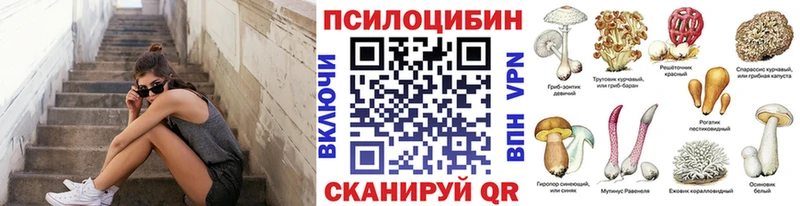 Псилоцибиновые грибы Psilocybine cubensis где купить наркотик Печора