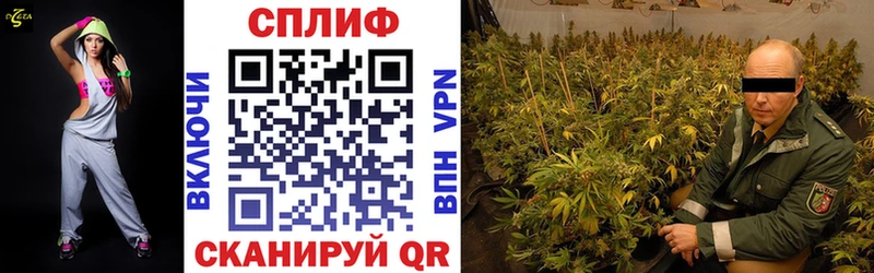 ссылка на мегу   где продают наркотики  Печора  Каннабис тримм 